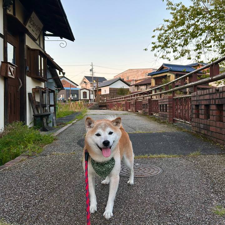 0704770f d870 451f bc35 aaf5d8c13482 1756723894106