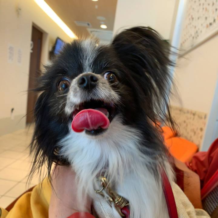 0704b1b5 78ee 4fd9 82cf c80f4c174378 1558225209258