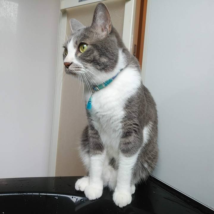 0704b975 8f5b 4e1a 99d3 f80152c5fa2f 1654071078324