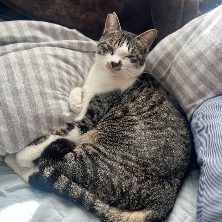 0704e651 fc07 44f9 a1c4 b8eaab7c5248 1763822360539