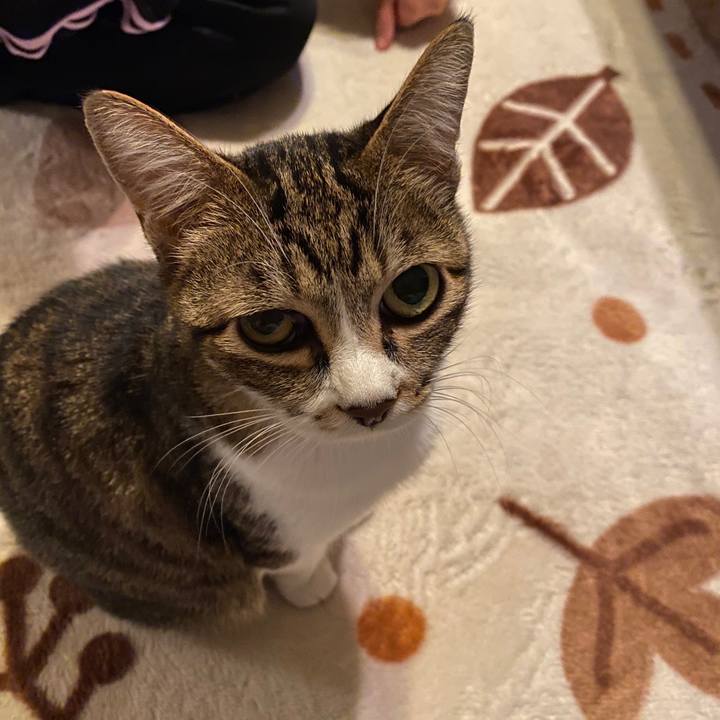 070524ed 2e71 434d 84f1 8c8598292489 1576406968304