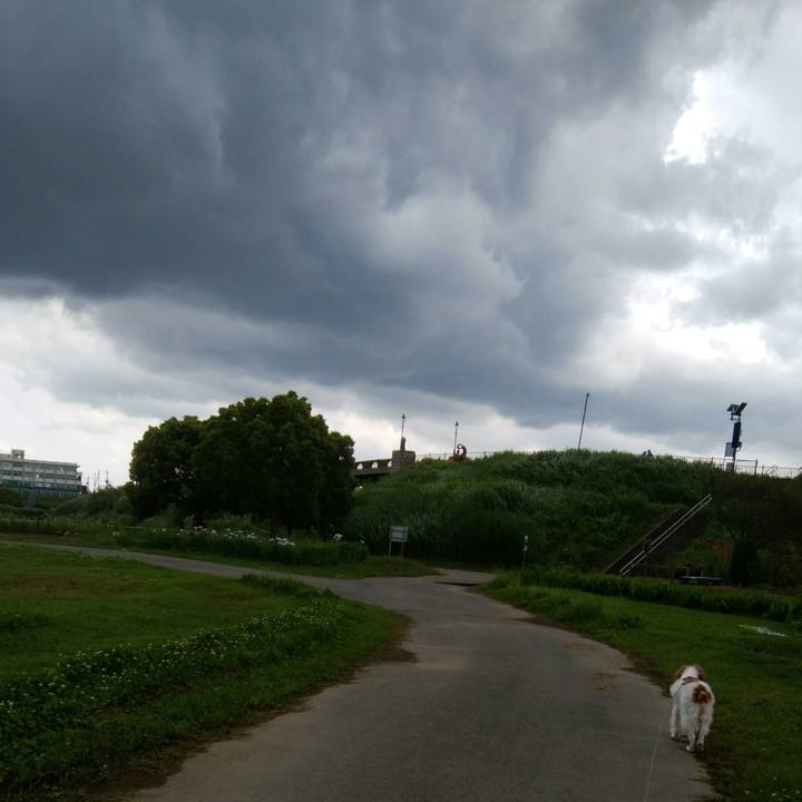 0705574a 6547 4b4e 8277 48d35a6495a1 1560168736151