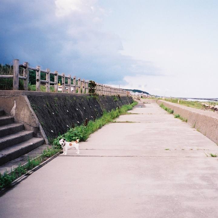 0705726c e04e 4896 ab50 46afe388f7b5 1600005732123