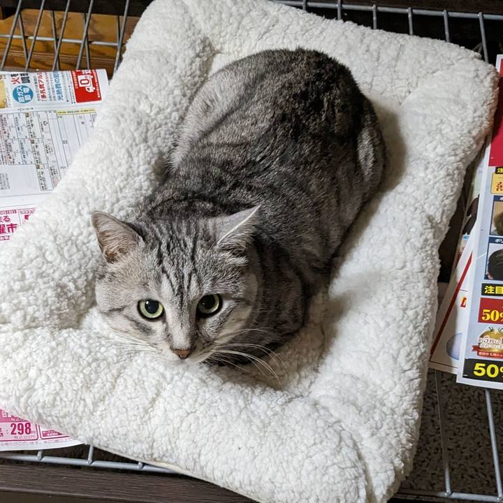 07059849 9b58 4e9d bb57 dd8a1ae6730e 1702742843322