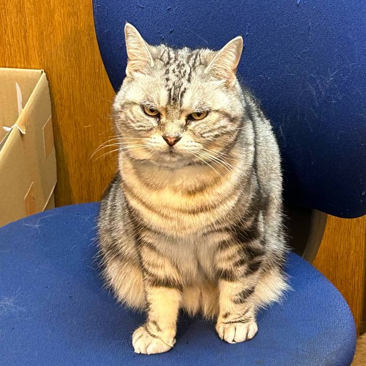 0705ada4 6c9a 429f b9f7 c9d382a42f42 1716293693981