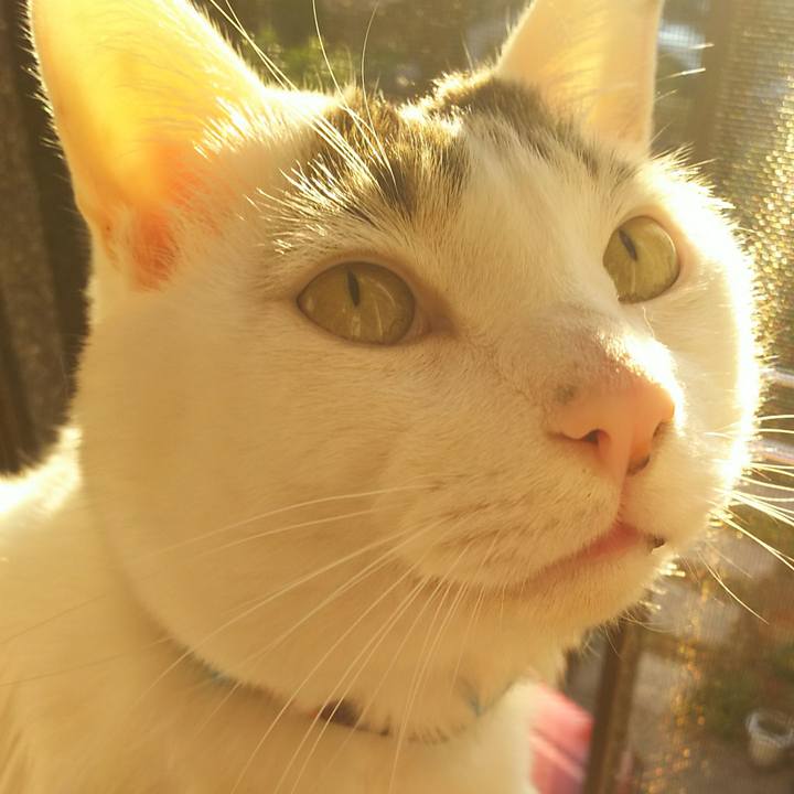 0705d121 e971 4cce bdcd 9d254e92912c 1513838533717