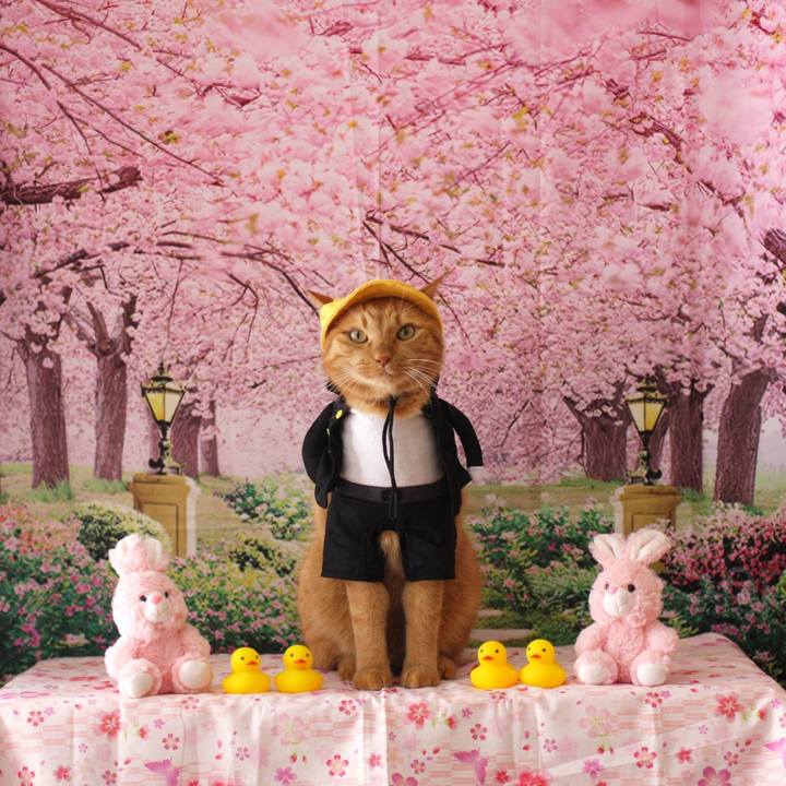 0705e8e5 c431 4a00 8741 b681bb175c52 1775564297384