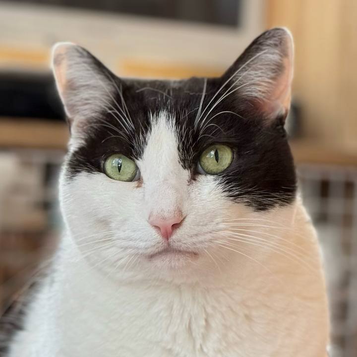 07060d52 528d 4b62 b7b0 2e98678283e8 1741659458899