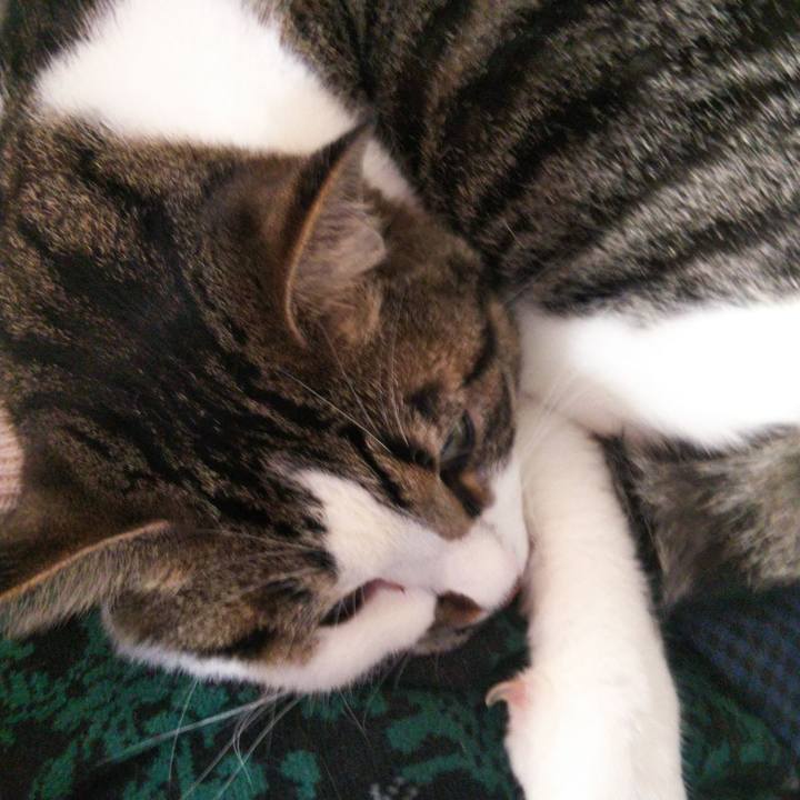 07061b33 2953 4af6 a7bd 58621d3d562a 1658732888157