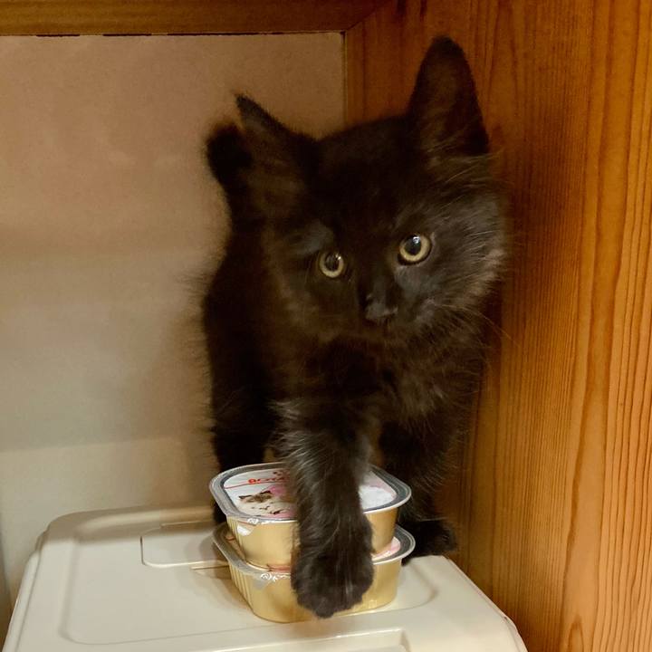 07068a8f d1c9 4567 97c8 d005fdea8b14 1698881913131