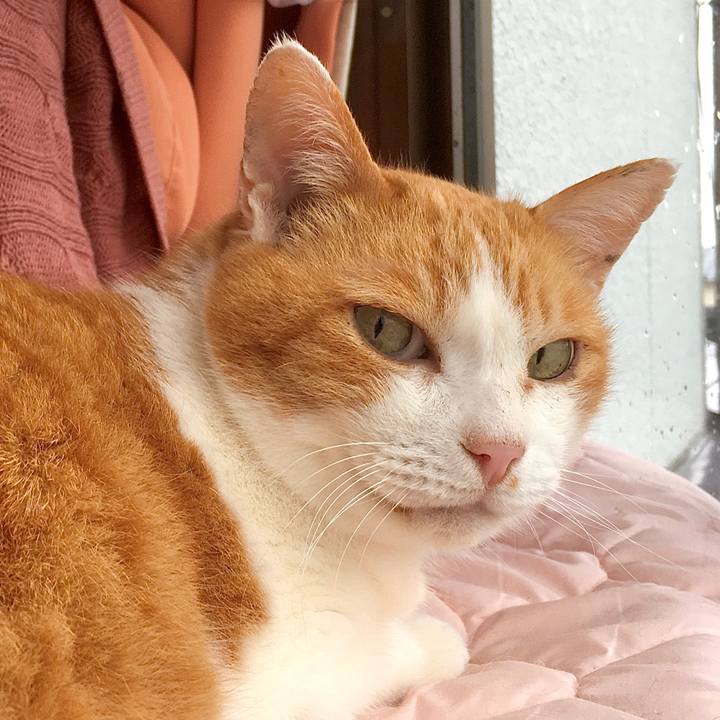 0706cc66 281d 4f56 862a 1643bf3380cc 1587450090174