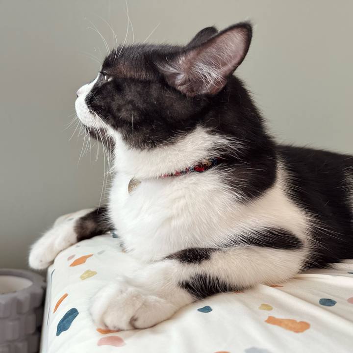 0706db68 9761 4d22 b789 b0e8e79ac79c 1755999757974