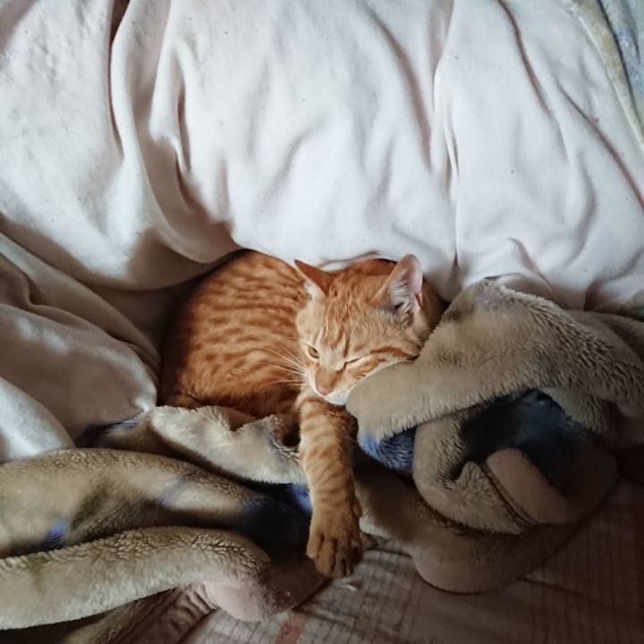 0706f682 bc3b 4ac2 97d6 e6897eadba57 1648683769798