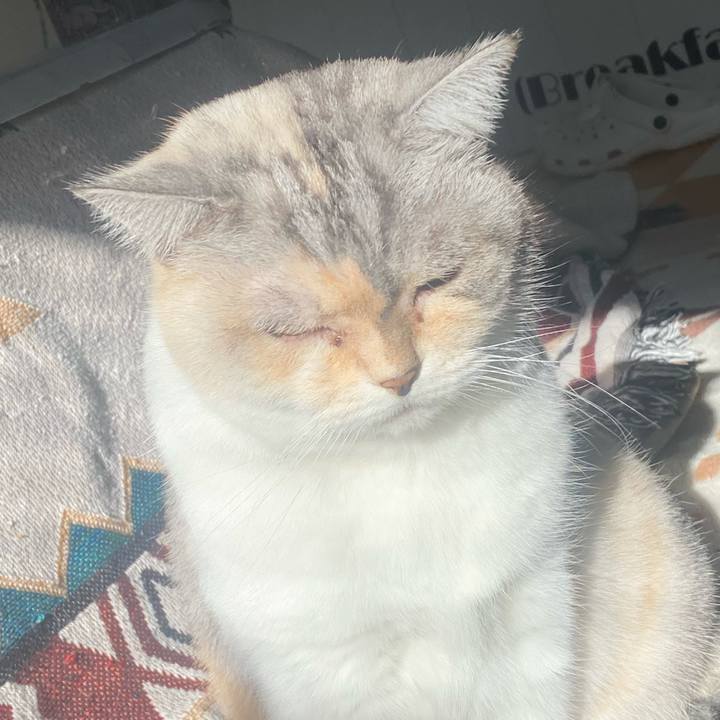 0706fbc5 0a47 44b9 8faf e92cbcf8b9fe 1736558789215