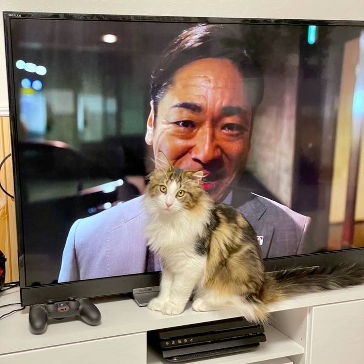 07072a64 2f60 49b4 b6bb d48d846a05d3 1639567841520