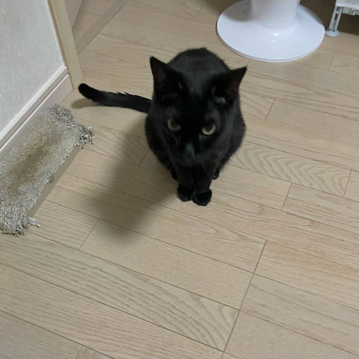 07075084 e539 4ac6 bc94 28a050aaa2c5 1754138335470