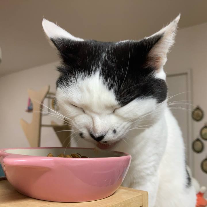 07077271 4bc7 4016 89b4 46f94eac8355 1771620992868