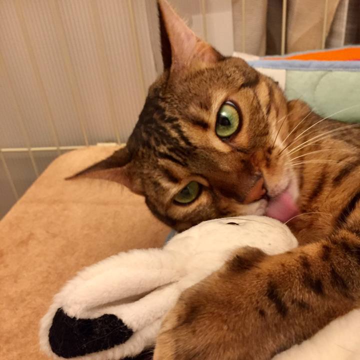 0707b274 a585 415a b5d2 e883067f3966 1535668552077