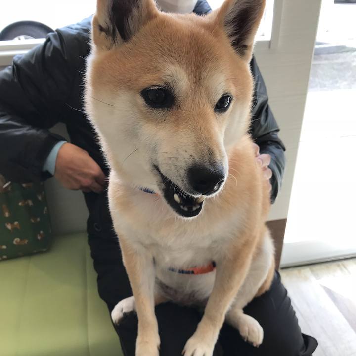 0707ded3 18a2 4e54 8873 74624374368e 1517644564462