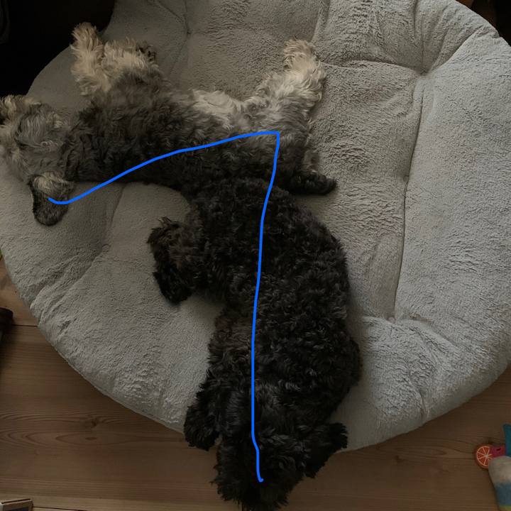 0707e255 7134 4476 976e d62b1328410f 1687163223857