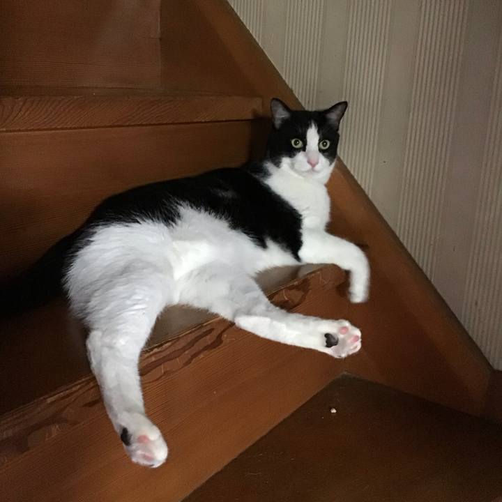 0707f833 e10e 4cf0 9e03 4cdfafaa7b24 1725865612799