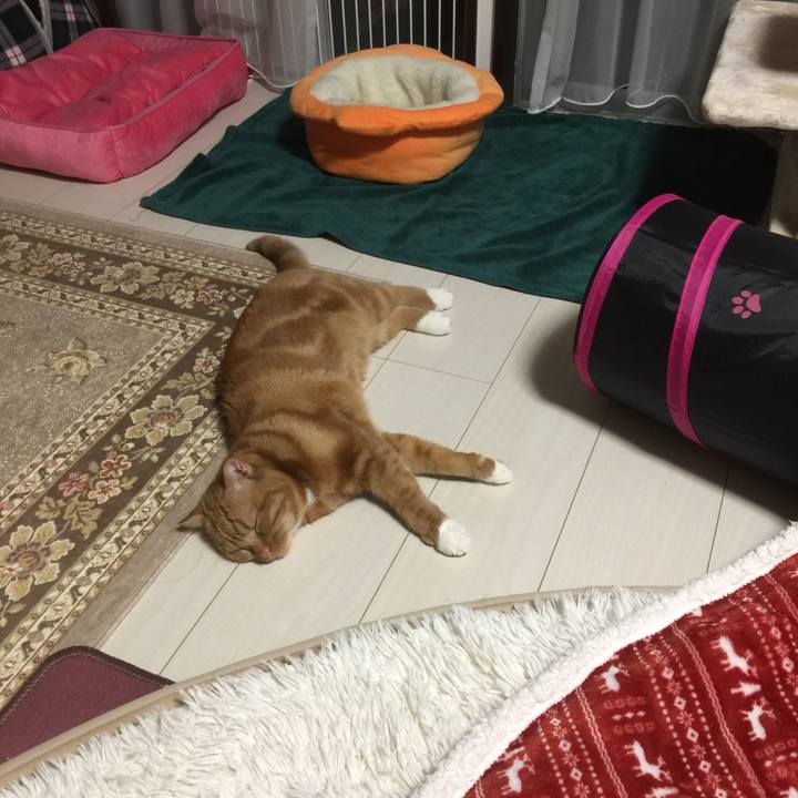 0708107b 3ae6 4248 ad24 ea67c0388417 1544446495570