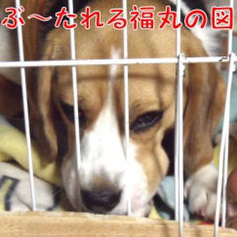 07081380 d6c5 429f bb53 4396a803ce85 1712190121672