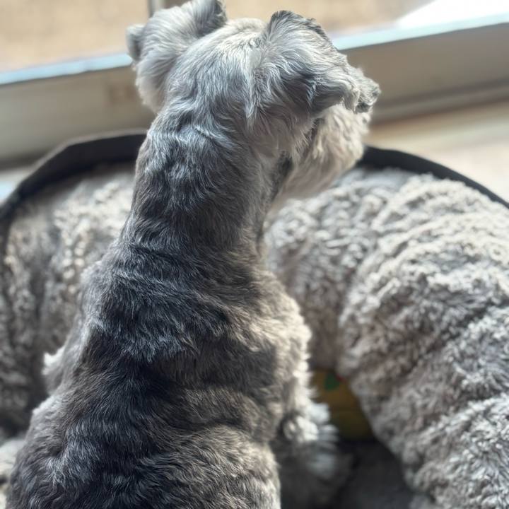 070813de 1db1 4c15 befd d15aa25589e4 1764398311500