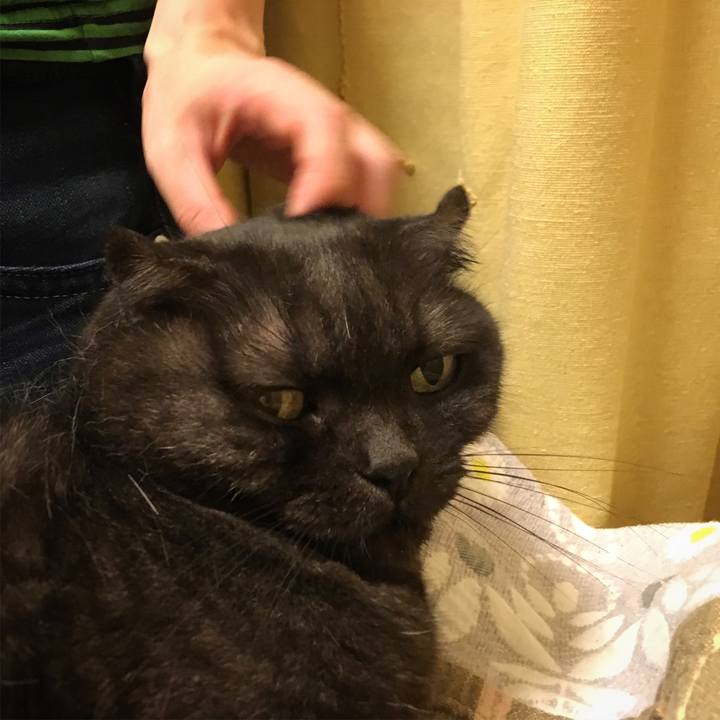 07081a00 763c 48aa 8f29 8ccc95d7131d 1533058056201