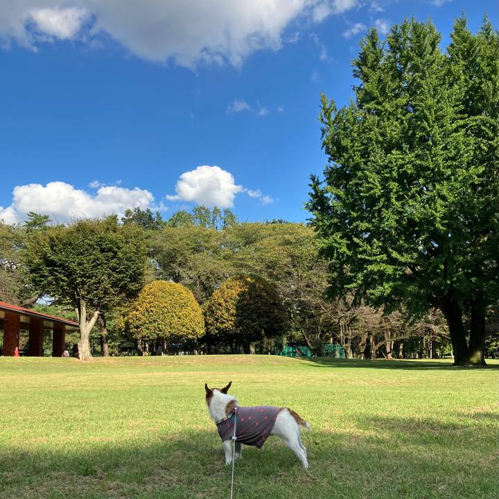 070835b4 8d68 43c7 bf17 9d9c711181aa 1664667929689