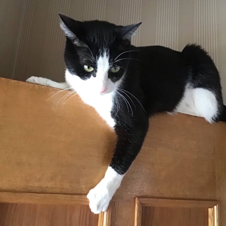 070859aa 7414 4856 acc2 f93f833d02f9 1712820315300