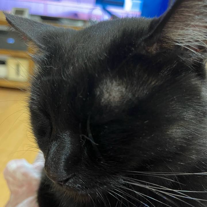 07088cad 64a8 454f b7bc 372f8df3e4b0 1683985447510