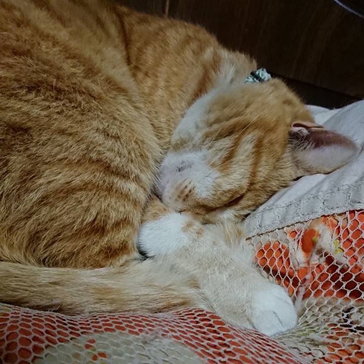 0708a3d4 3f42 4485 af8a 1a9864d10c14 1586437458053