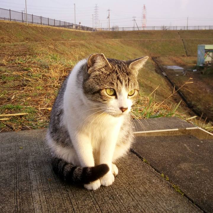 0708e47f 8949 402c a194 c104166216b1 1519645350716