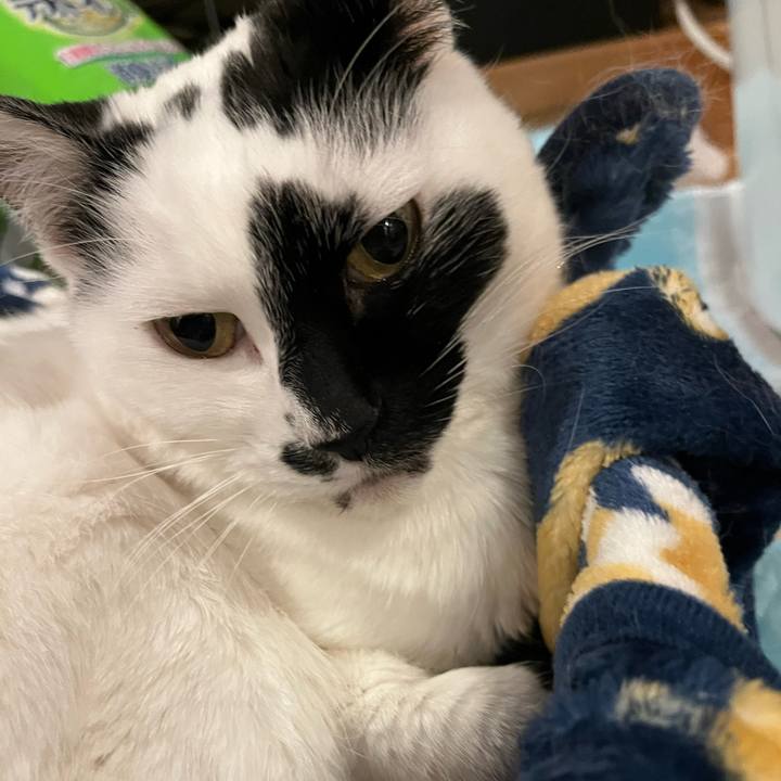 0708e8e8 9d2f 49e9 9c46 189ee4e7771a 1770763527603