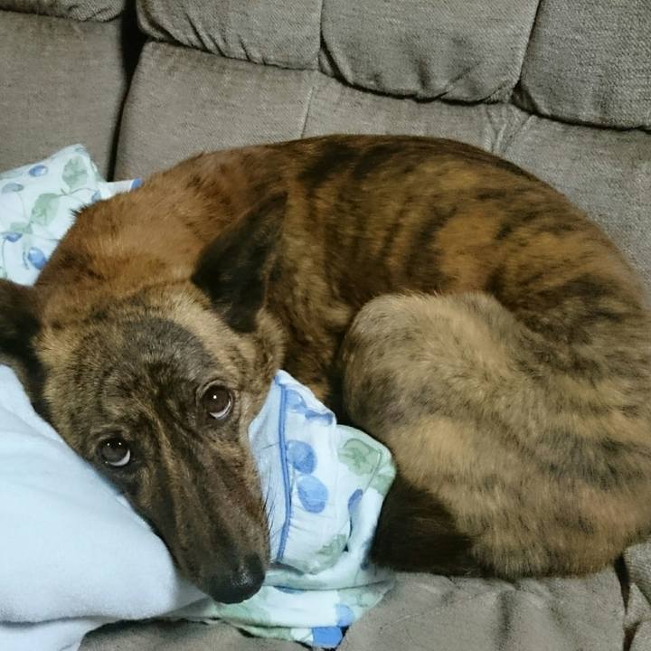 07092adc 1302 4060 adf5 a4b03d79c6db 1511182851851