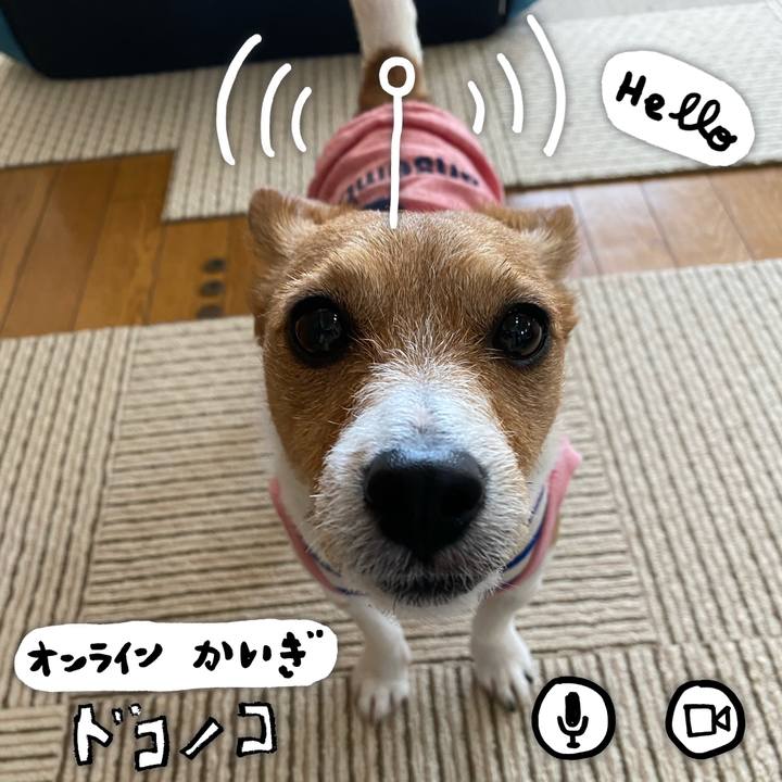 07093a2e c24a 498d 886c b9d8a3cc6265 1590796061696