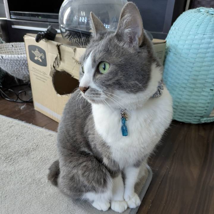 07093bf1 ebae 4d40 be47 de77546eab08 1770085924315