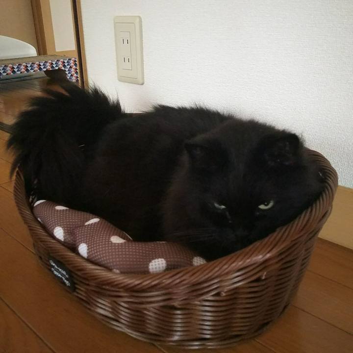 07095d84 cac8 45ea 9836 e9cb28496e9e 1531710557039