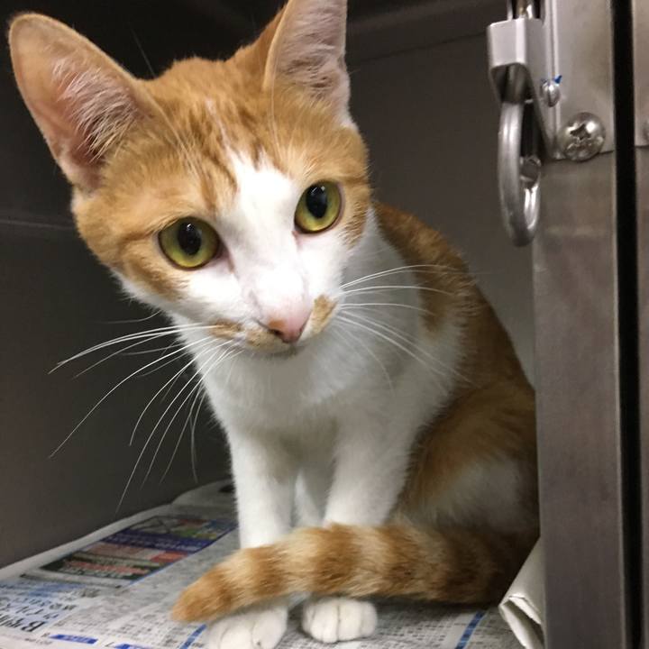 07097620 816a 4f1e bef6 a2eaf0546eac 1529316069142