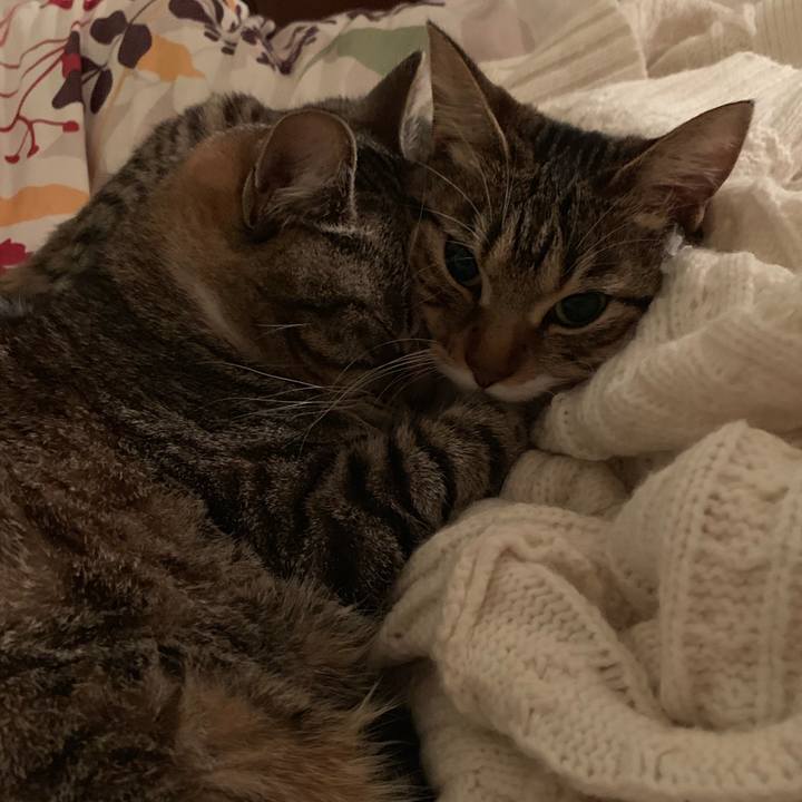 07097eba e14f 44e2 9a2c 7806c44597cd 1554341672352