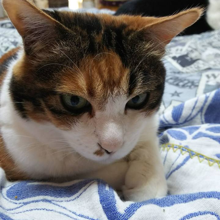 070a02bb c38f 422a aed3 2b409568ba51 1528503875445