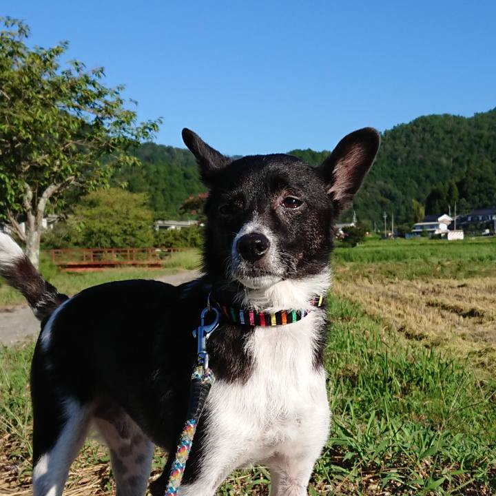 070a0f3f d0bc 4ef7 9503 aa6e54027770 1568420441611