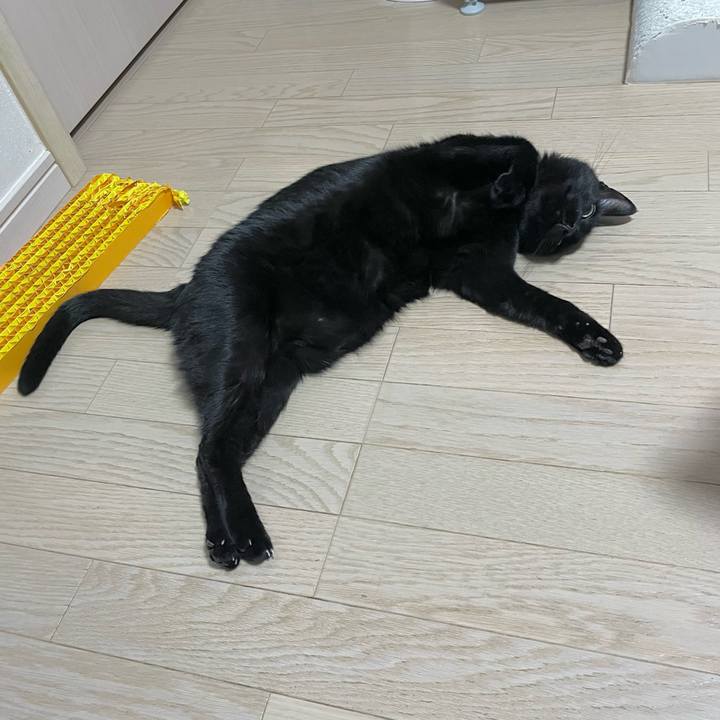 070a150e 0e55 40ef acdc 726f84d48cf1 1732538008076