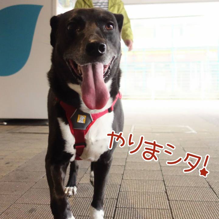 070a1cfa 0750 4d03 913f 339aae4dbbb6 1666398271386