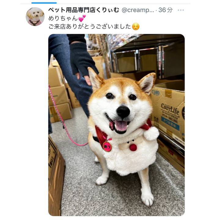 070a4442 a328 40fd bcc0 2082c8b56e58 1702554909155