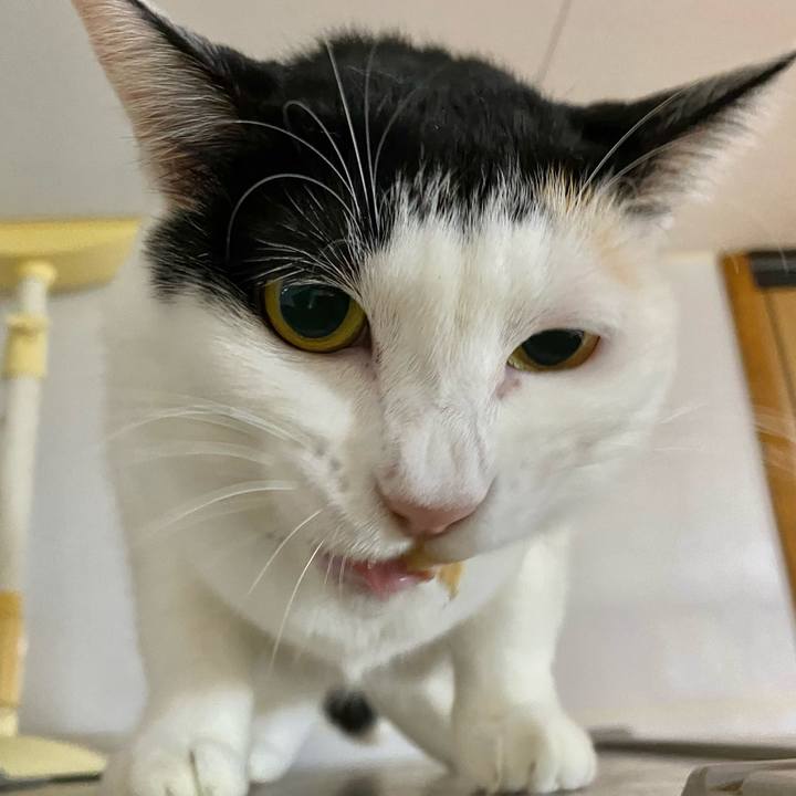 070a4b77 9052 4bb2 abf3 315fbe2f33a6 1669902138413