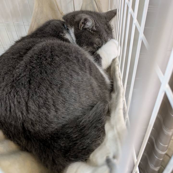 070a5640 909b 431a bac0 6581f5d3a701 1749778779176