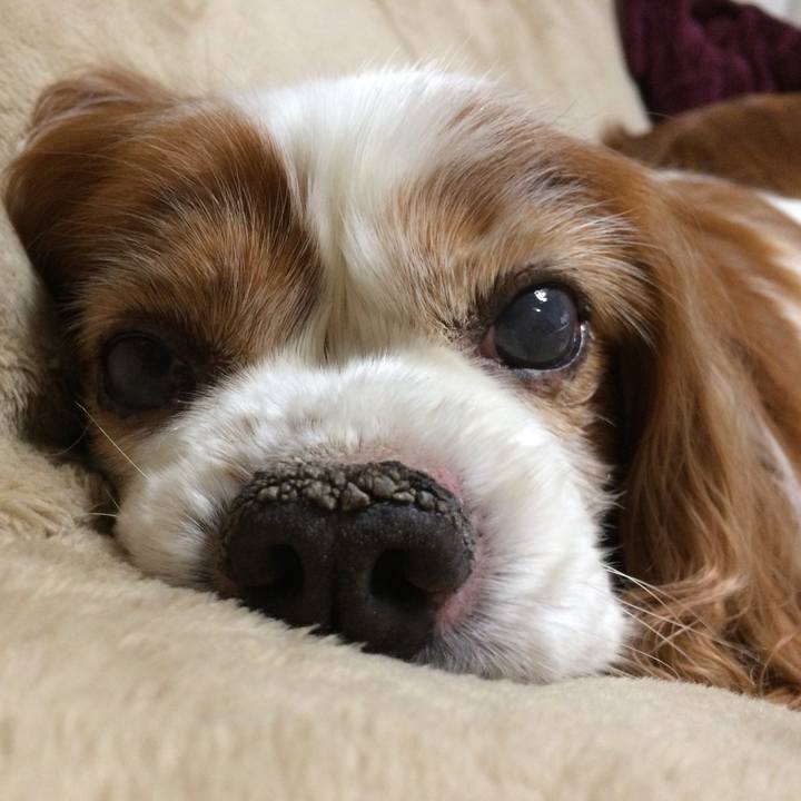 070ae3b3 dddc 4ecc 9a7b 9731e9cec896 1547338096758