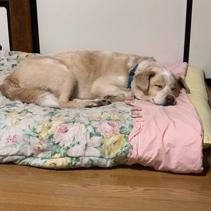 070b23eb e0bc 4864 af2d 6cba34dd3739 1557062290620